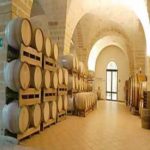 Il vino siciliano sale in…cattedra: intesa tra Istituto Regionale della Vite e del Vino e l’Università di Palermo