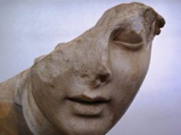 Morgantina: storia, cultura e gusto