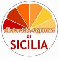 marchio ombrello