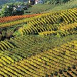 A Ponzano Monferrato si scoprono “i sensi della storia”.