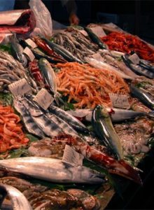 pesce2