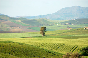 campagna2