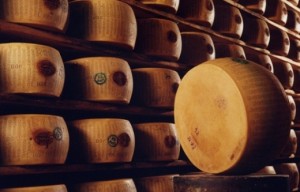 parmigiano