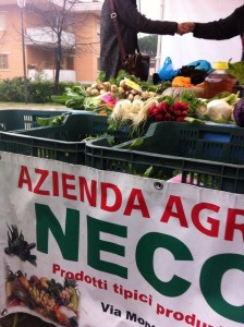 neccia