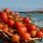 Sebastiano Fortunato: “Il futuro dell’agricoltura sono i giovani”