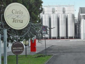 cielo