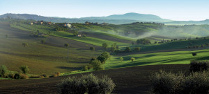 marche