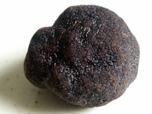tartufo-nero-1