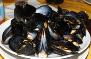 cozze