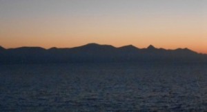 mare