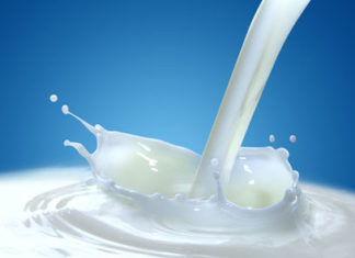 Il latte fa bene alle ossa? No. Quelli sono i latticini.