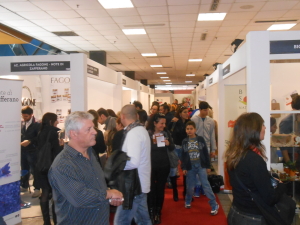 evento 029