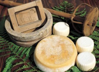 Formaggi d’alpeggio e di pianura: la differenza c’è, e si sente.
