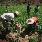 La Fondazione Slow Food per la Biodiversità e Table for Two firmano un accordo a sostegno del progetto dei 10.000 orti in Africa