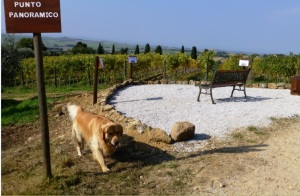 Fattoria del Colle Trequanda - Punto panoramico