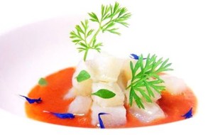Iannaccone foto3