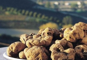 tartufo bianco3