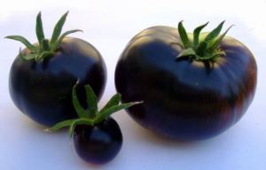 pomodoro nero