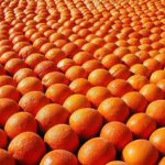 Arancia Rossa di Sicilia IGP: regina anche in cucina.