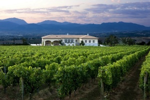 Cantina Lungarotti -Turrita di Montefalco