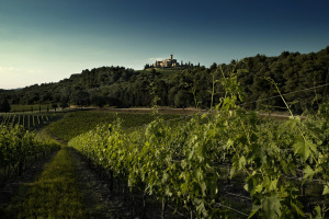 cantine-aperte-adsi