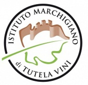 istituto marchigiano tutela vini