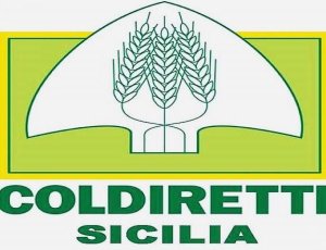 coldiretti-sicilia