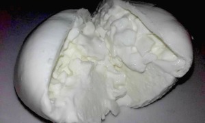 burrata