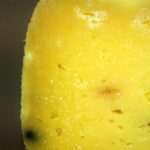 Tenuta Bubudello Azienda agricola: dove il gusto profuma di antico