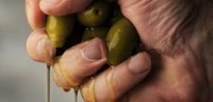 mano-olive