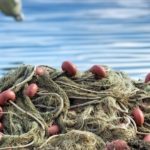 Veneto: comparto pesca sotto la lente. Segnali di ripresa.