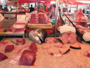 mercato-del-pesce-1024x768