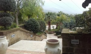 lepalme9
