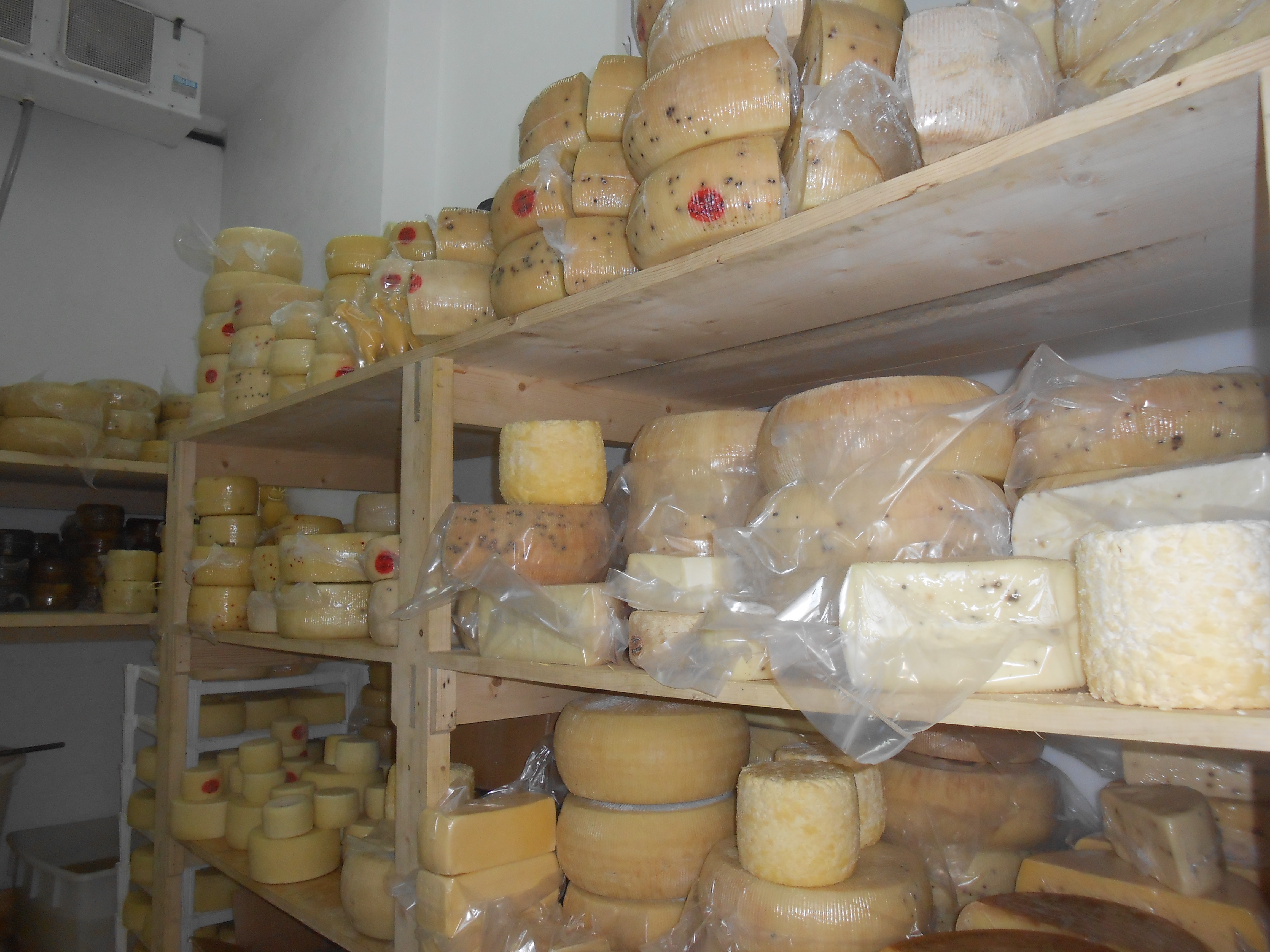 forme formaggio siciliano