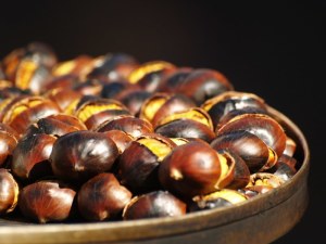 castagne